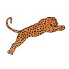 Leopards Worldwide Express LLC-Dubai