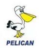 Penguin International Ltd. (Pelican Offshore Services Pte.Ltd.)-SINGAPORE