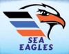 Sea Eagles Shipping  L.L.C. (Sharjah)-Sharjah