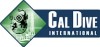 Cal Dive International-Texas